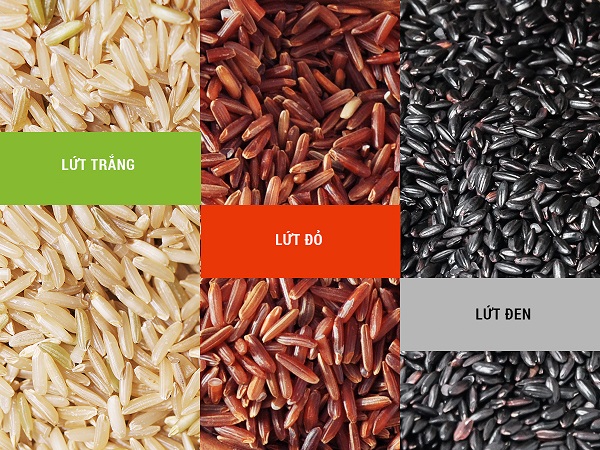 Gạo lứt là gì? Phân biệt các loại gạo lứt