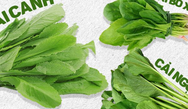 Phân biệt các loại rau cải và các ngon nấu cùng